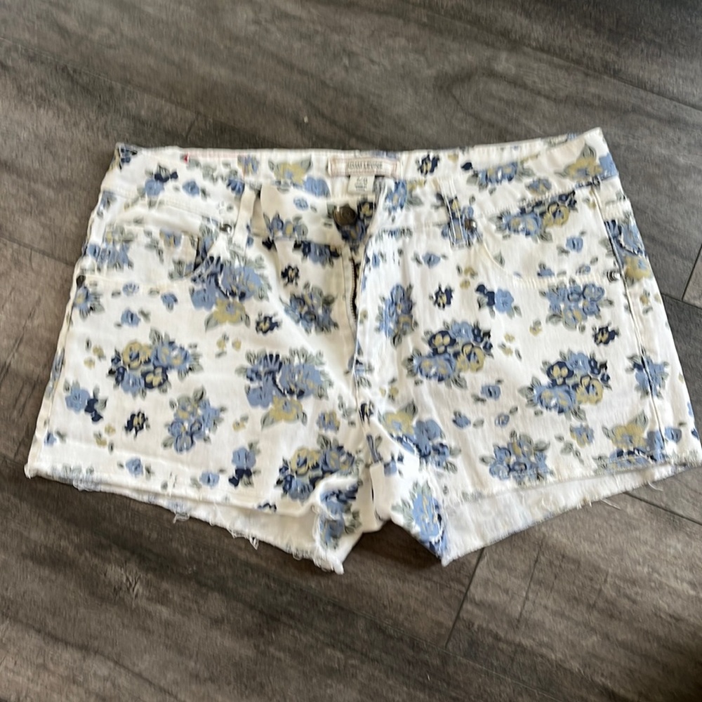 Adam levin shorts
